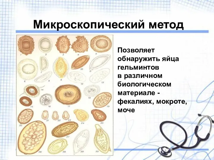 Микроскопический метод Позволяет обнаружить яйца гельминтов в различном биологическом материале - фекалиях, мокроте, моче