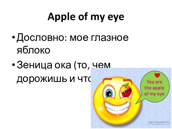 Apple of my eye Дословно: мое глазное яблоко Зеница ока (то, чем дорожишь и что бережешь)