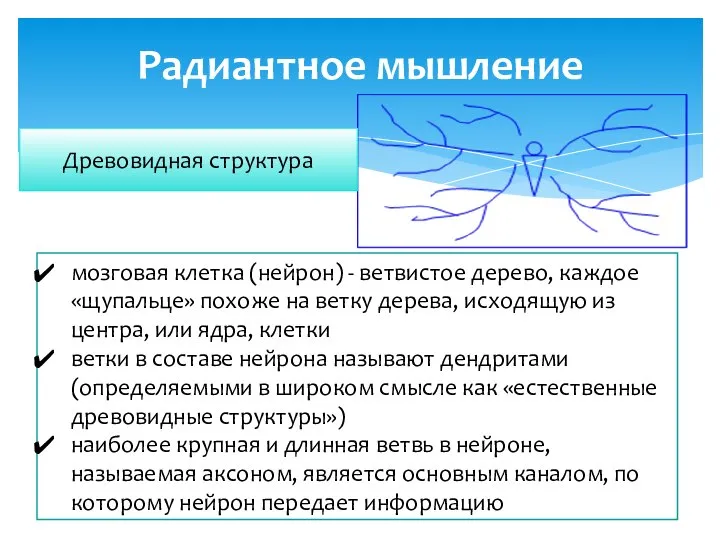 Радиантное мышление мозговая клетка (нейрон) - ветвистое дерево, каждое «щупальце» похоже на