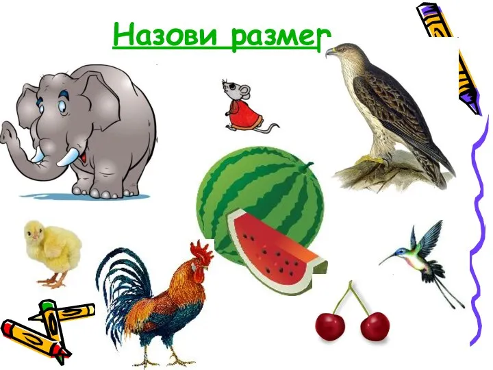 Назови размер