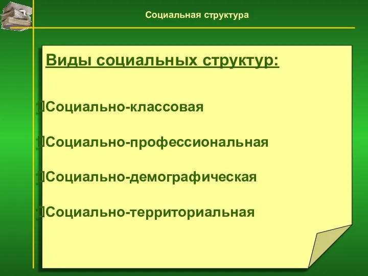 Виды социальных структур: Социально-классовая Социально-профессиональная Социально-демографическая Социально-территориальная