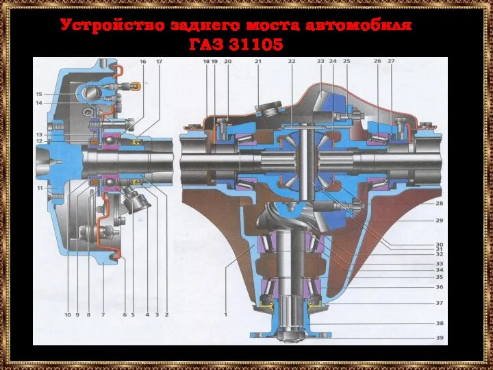 Устройство заднего моста автомобиля ГАЗ 31105