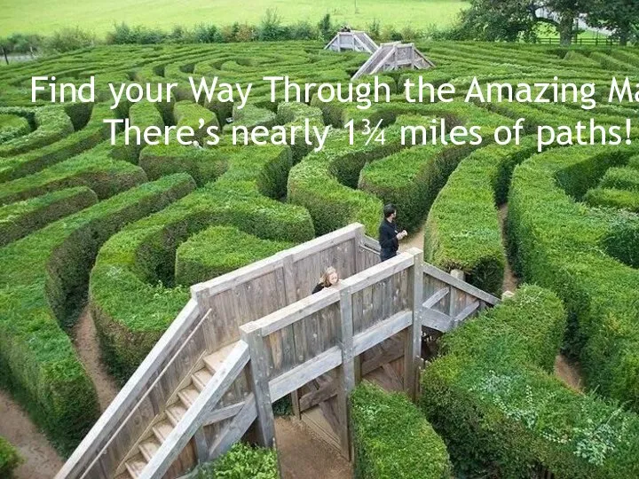 Find your Way Through the Amazing Maze! There’s nearly 1¾ miles of paths!