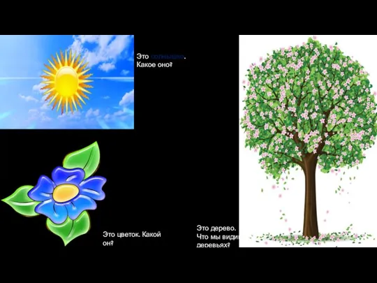 Это солнышко. Какое оно? Это дерево. Что мы видим на деревьях? Это цветок. Какой он?