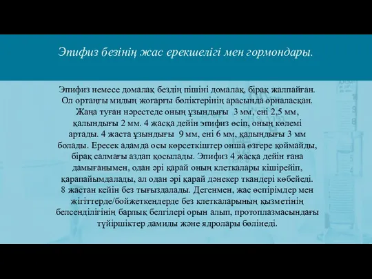 Эпифиз безінің жас ерекшелігі мен гормондары. Эпифиз немесе домалақ бездің пішіні домалақ,