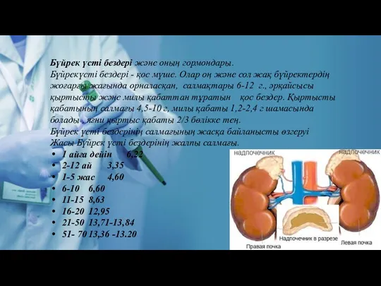 Бүйрек үсті бездері және оның гормондары. Бүйрекүсті бездері - қос мүше. Олар