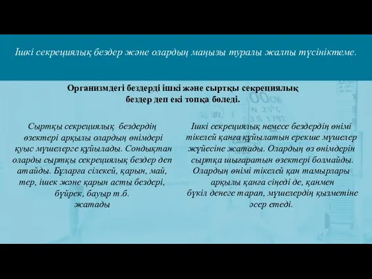 Ішкі секрециялық бездер және олардың маңызы туралы жалпы түсініктеме. Организмдегі бездерді ішкі