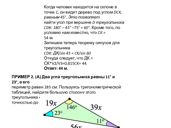 Когда человек находится на склоне в точке C, он видит дерево под