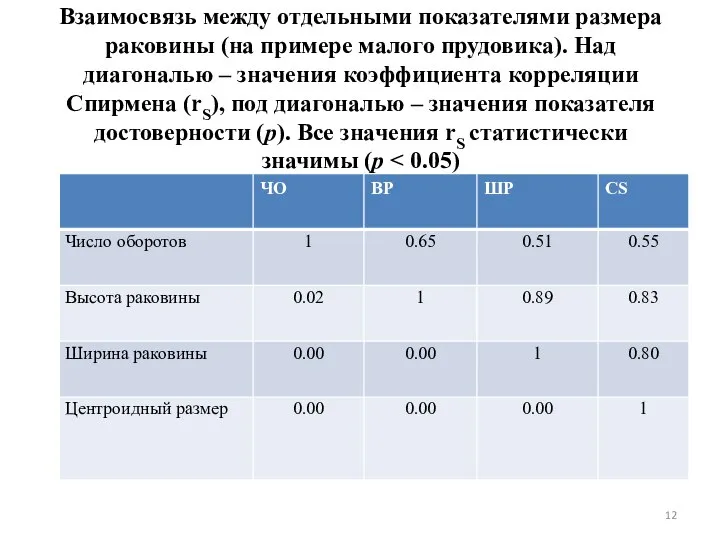 Взаимосвязь между отдельными показателями размера раковины (на примере малого прудовика). Над диагональю