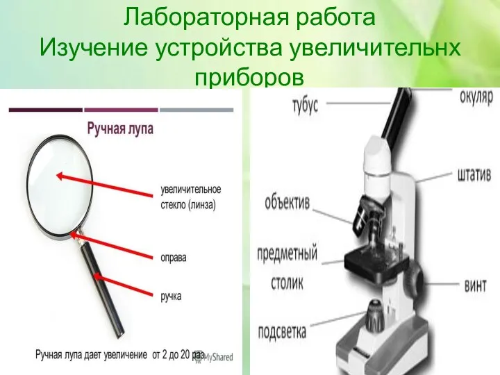 Лабораторная работа Изучение устройства увеличительнх приборов