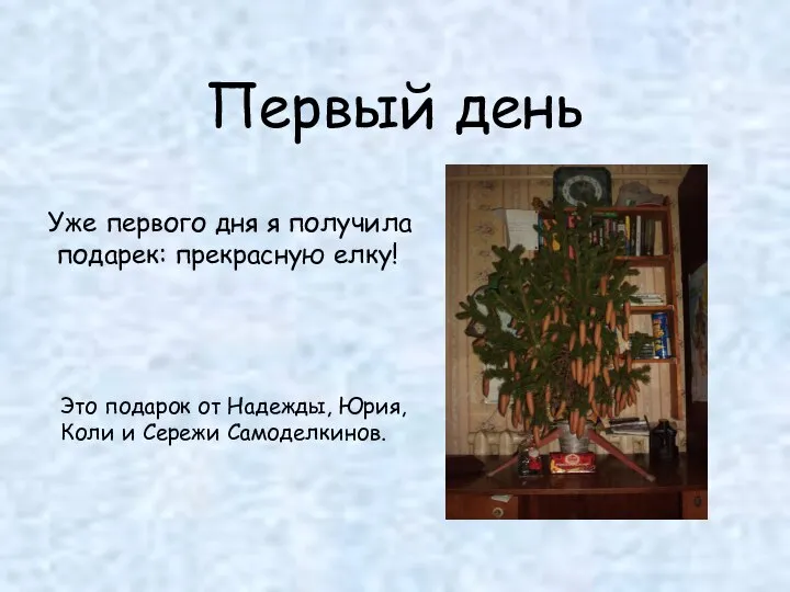 Первый день Уже первого дня я получила подарек: прекрасную елку! Это подарок