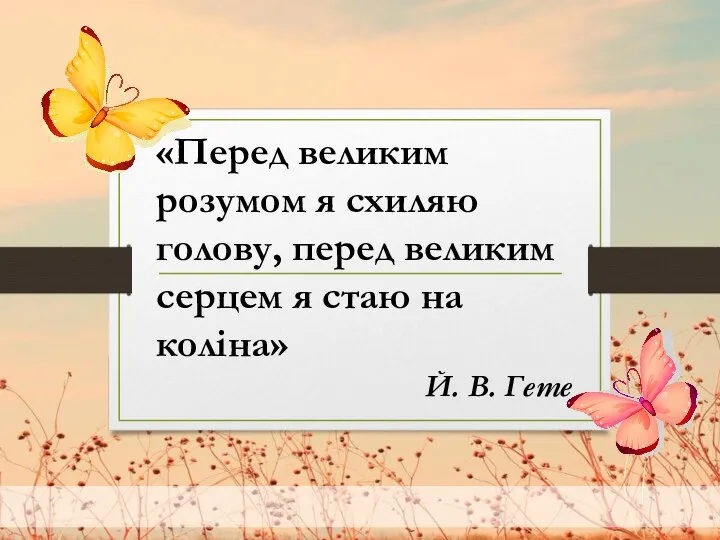 «Перед великим розумом я схиляю голову, перед великим серцем я стаю на коліна» Й. В. Гете