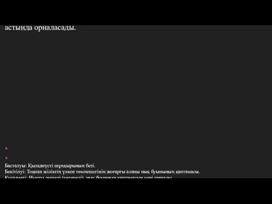 Қылқанүсті бұлшықеті (m. supraspinatus) • Жауырынның қылқанүсті шұңқырын толтыра, траперциятәрізді бұлшықет астында