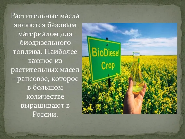 Растительные масла являются базовым материалом для биодизельного топлива. Наиболее важное из растительных