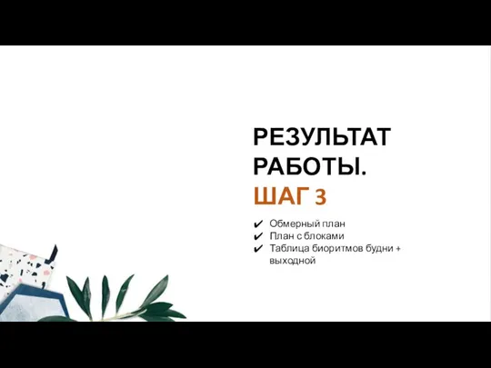 РЕЗУЛЬТАТ РАБОТЫ. ШАГ 3 Обмерный план План с блоками Таблица биоритмов будни + выходной