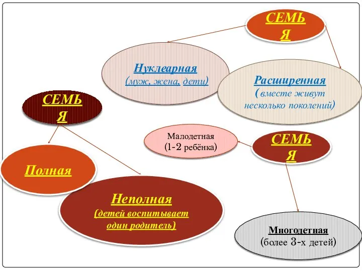 СЕМЬЯ Неполная (детей воспитывает один родитель) Полная СЕМЬЯ Нуклеарная (муж, жена, дети)