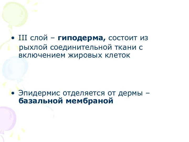 III слой – гиподерма, состоит из рыхлой соединительной ткани с включением жировых