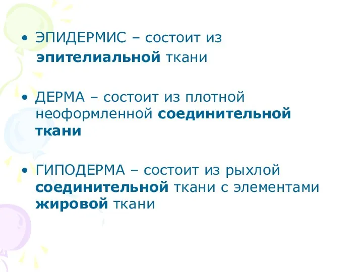 ЭПИДЕРМИС – состоит из эпителиальной ткани ДЕРМА – состоит из плотной неоформленной