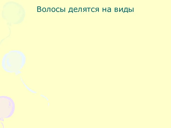 Волосы делятся на виды