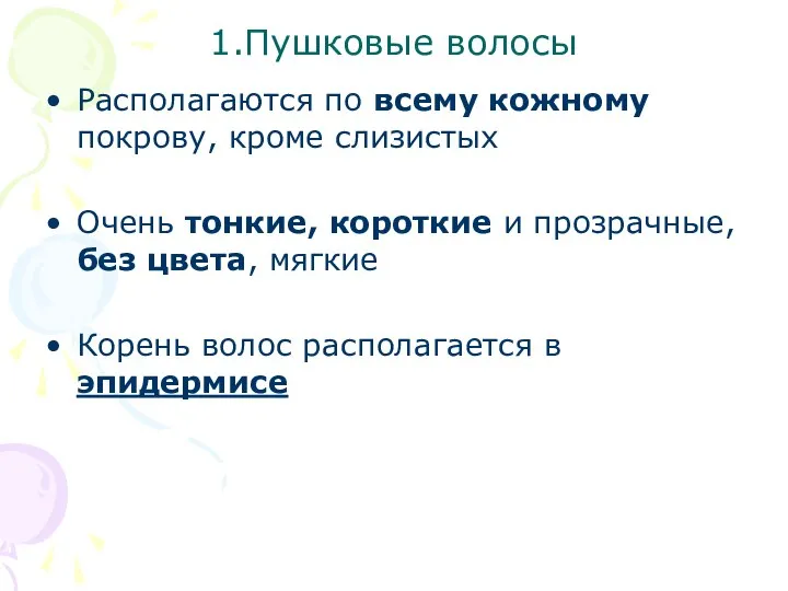 1.Пушковые волосы Располагаются по всему кожному покрову, кроме слизистых Очень тонкие, короткие