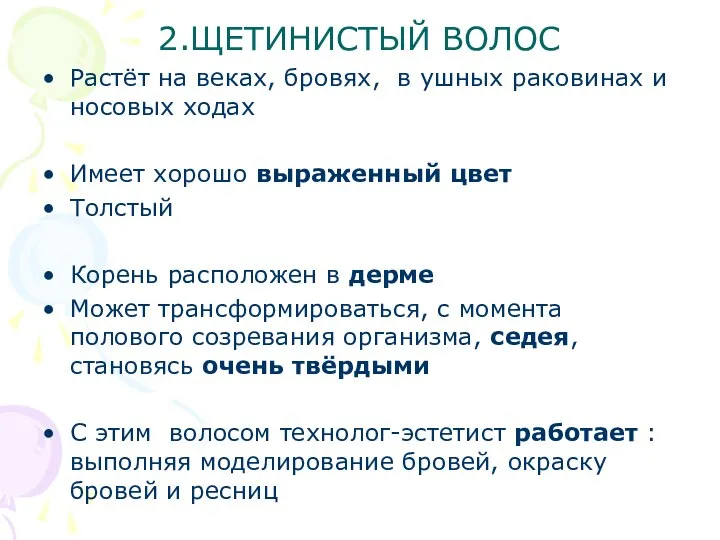 2.ЩЕТИНИСТЫЙ ВОЛОС Растёт на веках, бровях, в ушных раковинах и носовых ходах