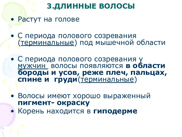 3.ДЛИННЫЕ ВОЛОСЫ Растут на голове С периода полового созревания(терминальные) под мышечной области