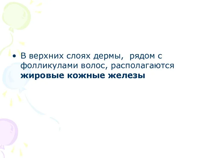 В верхних слоях дермы, рядом с фолликулами волос, располагаются жировые кожные железы