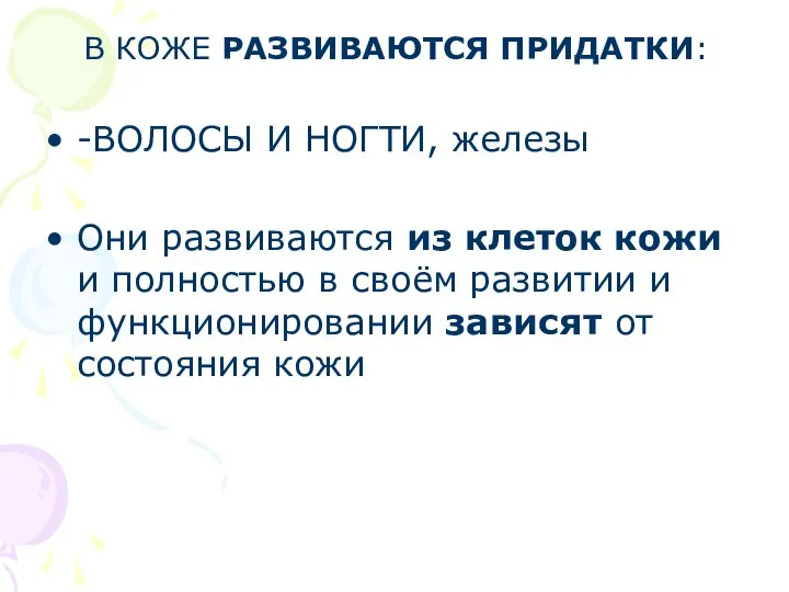 В КОЖЕ РАЗВИВАЮТСЯ ПРИДАТКИ: -ВОЛОСЫ И НОГТИ, железы Они развиваются из клеток