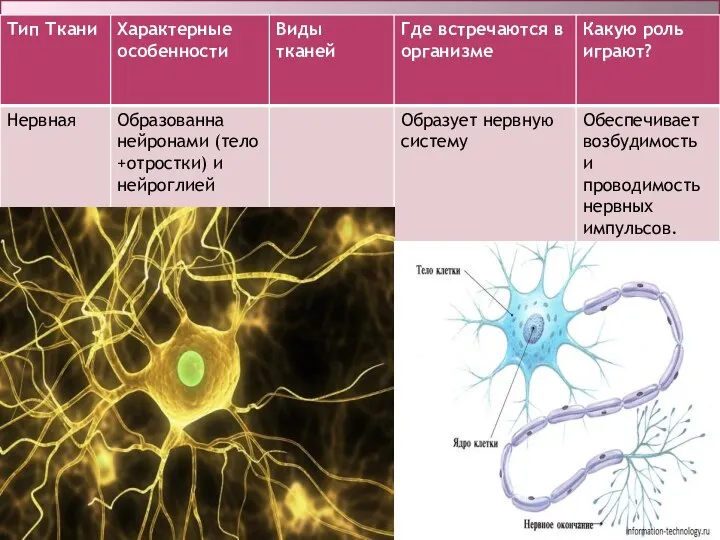 НУЮ СИСТЕМУ