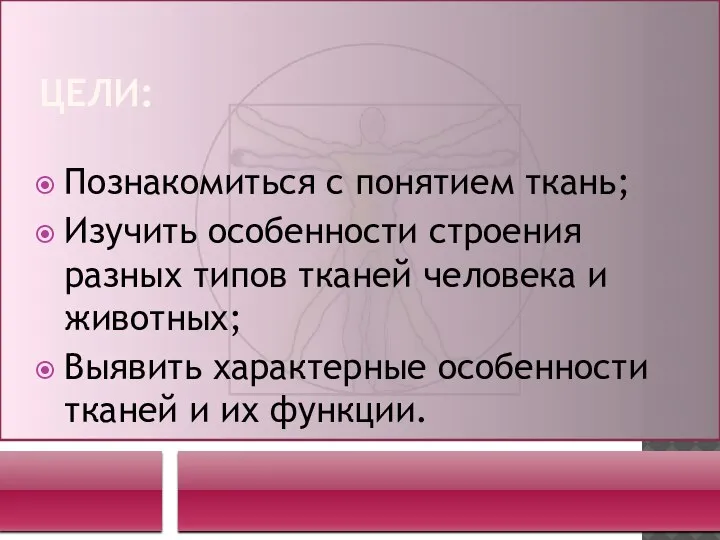 ЦЕЛИ: Познакомиться с понятием ткань; Изучить особенности строения разных типов тканей человека