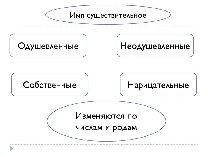 Имя существительное Одушевленные Неодушевленные Собственные Нарицательные Изменяются по числам и родам