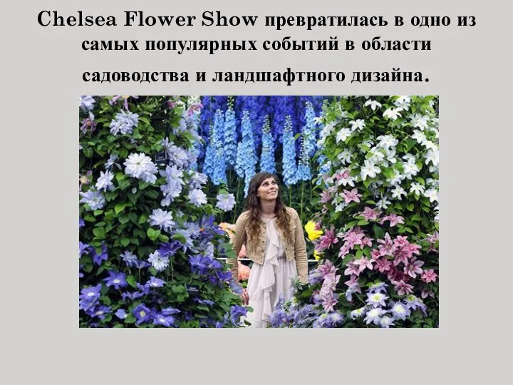 Chelsea Flower Show превратилась в одно из самых популярных событий в области садоводства и ландшафтного дизайна.