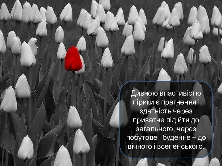 Дивною властивістю лірики є прагнення і здатність через приватне підійти до загального,