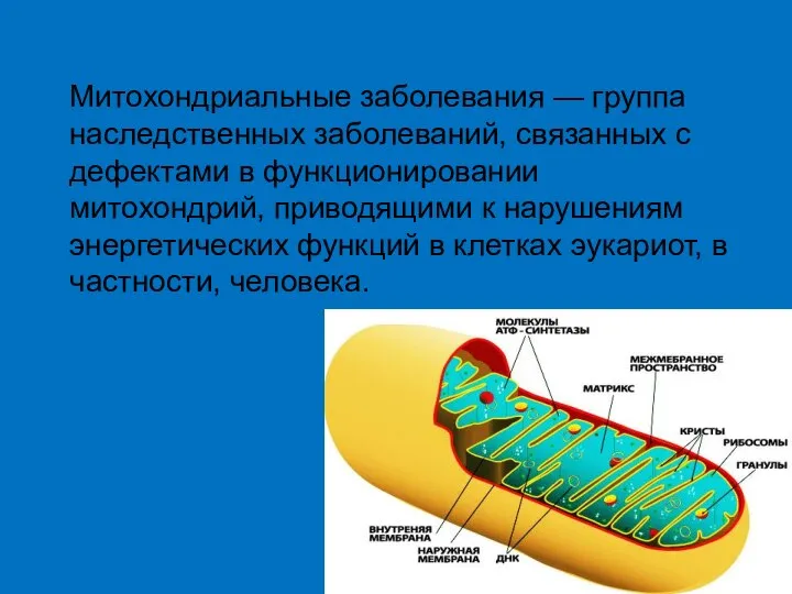 Митохондриальные заболевания — группа наследственных заболеваний, связанных с дефектами в функционировании митохондрий,