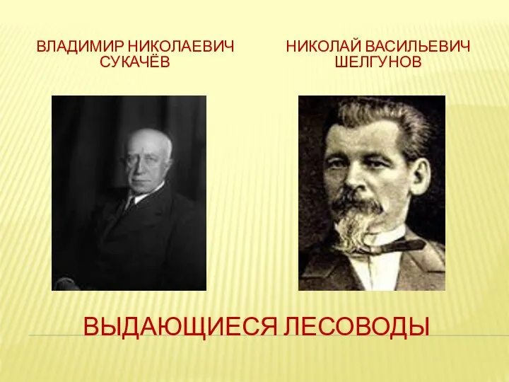 ВЫДАЮЩИЕСЯ ЛЕСОВОДЫ ВЛАДИМИР НИКОЛАЕВИЧ СУКАЧЁВ НИКОЛАЙ ВАСИЛЬЕВИЧ ШЕЛГУНОВ