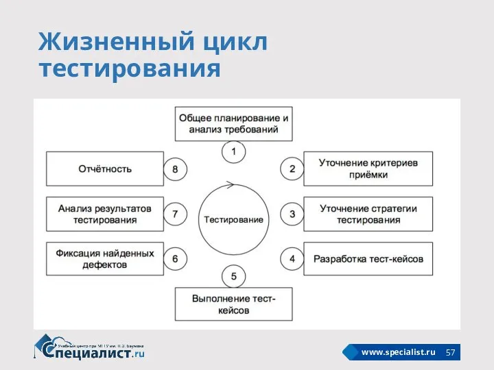 Жизненный цикл тестирования