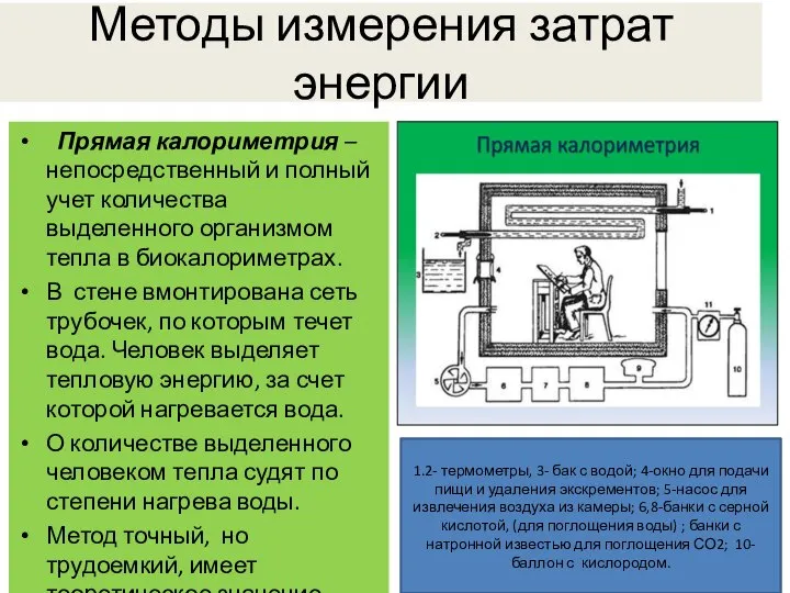 Методы измерения затрат энергии Прямая калориметрия – непосредственный и полный учет количества