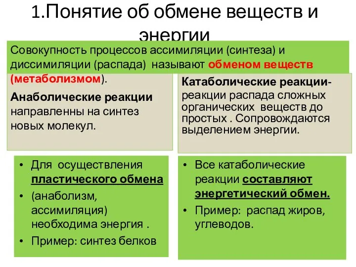 1.Понятие об обмене веществ и энергии Анаболические реакции направленны на синтез новых