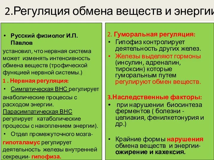 2.Регуляция обмена веществ и энергии 2. Гуморальная регуляция: Гипофиз контролирует деятельность других