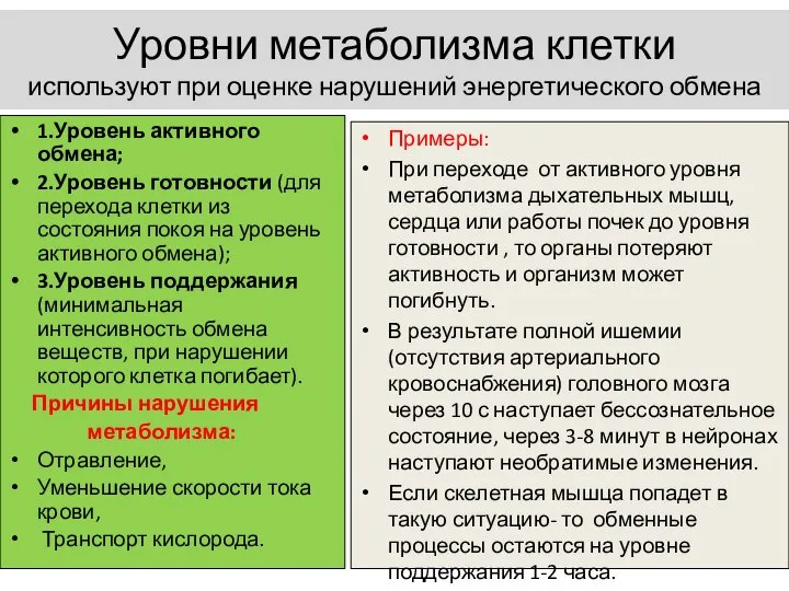 Уровни метаболизма клетки используют при оценке нарушений энергетического обмена 1.Уровень активного обмена;