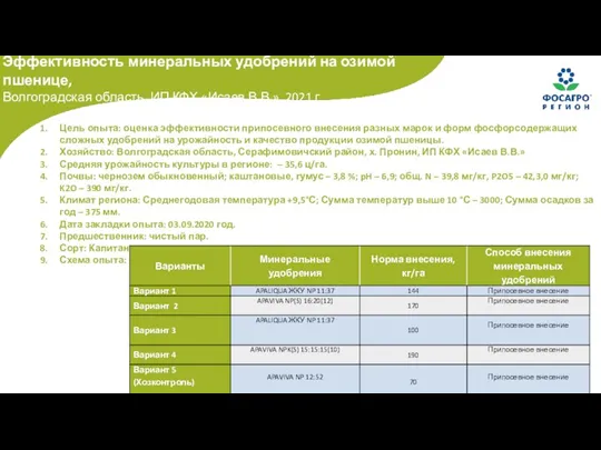 Эффективность минеральных удобрений на озимой пшенице, Волгоградская область, ИП КФХ «Исаев В.В.»,