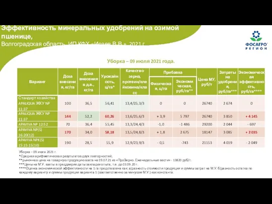 Эффективность минеральных удобрений на озимой пшенице, Волгоградская область, ИП КФХ «Исаев В.В.»,