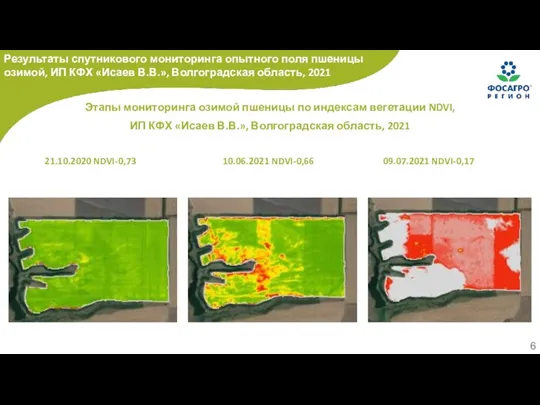 Этапы мониторинга озимой пшеницы по индексам вегетации NDVI, ИП КФХ «Исаев В.В.»,