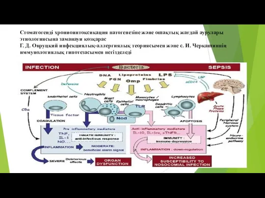 Стоматогенді хрониоинтоксикация патогенезіне және ошақтық жағдай аурулары этиологиясына заманауи көзқарас Г. Д.