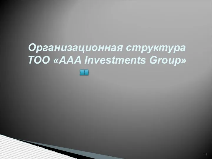 Организационная структура ТОО «AAA Investments Group»