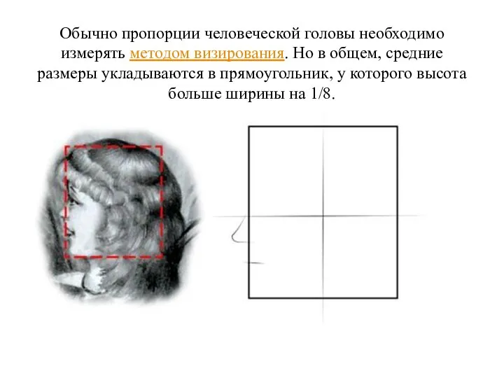 Обычно пропорции человеческой головы необходимо измерять методом визирования. Но в общем, средние