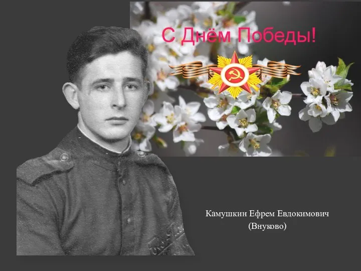 Камушкин Ефрем Евдокимович (Внуково)