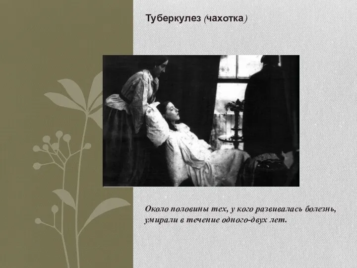 Около половины тех, у кого развивалась болезнь, умирали в течение одного-двух лет. Туберкулез (чахотка)