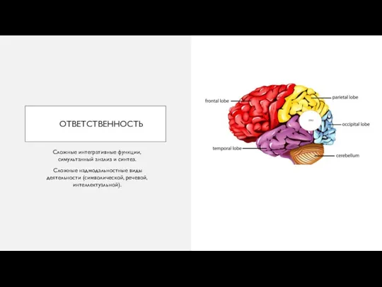 ОТВЕТСТВЕННОСТЬ Cложные интегративные функции, симультанный анализ и синтез. Сложные надмодальностные виды деятельности (символической, речевой, интеллектуальной).