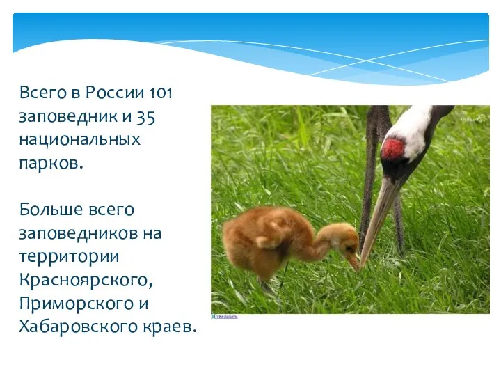 Всего в России 101 заповедник и 35 национальных парков. Больше всего заповедников